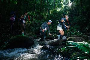 BIB: 
                            <button type="button" onclick="openModal(26777638)" class="btn btn-primary btn-sm float-right btn-popup" data-toggle="modal" data-target=".modal-high-quality">
                        <i class="fas fa-shopping-cart"></i> Add to Cart
                    </button>
                                            <button type="button" onclick="isThisMe(26777638, true)" class="btn btn-success btn-sm float-right btn-popup btn-isme hidden" data-toggle="tooltip" data-placement="bottom" title="นี่คือรูปของคุณใช่ไหม คลิกที่นี่เพื่อเอาเข้าอัลบั้ม">
                        <i class="fas fa-plus"></i> Add to album
                    </button>
                    <button type="button" onclick="isThisMe(26777638, false)" class="btn btn-warning btn-sm float-right btn-popup btn-isnotme hidden">
                        <i class="fas fa-ban"></i> Remove from album
                    </button>