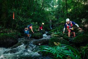 BIB: 
                            <button type="button" onclick="openModal(26772491)" class="btn btn-primary btn-sm float-right btn-popup" data-toggle="modal" data-target=".modal-high-quality">
                        <i class="fas fa-shopping-cart"></i> Add to Cart
                    </button>
                                            <button type="button" onclick="isThisMe(26772491, true)" class="btn btn-success btn-sm float-right btn-popup btn-isme hidden" data-toggle="tooltip" data-placement="bottom" title="นี่คือรูปของคุณใช่ไหม คลิกที่นี่เพื่อเอาเข้าอัลบั้ม">
                        <i class="fas fa-plus"></i> Add to album
                    </button>
                    <button type="button" onclick="isThisMe(26772491, false)" class="btn btn-warning btn-sm float-right btn-popup btn-isnotme hidden">
                        <i class="fas fa-ban"></i> Remove from album
                    </button>