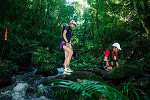 BIB: 
                            <button type="button" onclick="openModal(26772673)" class="btn btn-primary btn-sm float-right btn-popup" data-toggle="modal" data-target=".modal-high-quality">
                        <i class="fas fa-shopping-cart"></i> Add to Cart
                    </button>
                                            <button type="button" onclick="isThisMe(26772673, true)" class="btn btn-success btn-sm float-right btn-popup btn-isme hidden" data-toggle="tooltip" data-placement="bottom" title="นี่คือรูปของคุณใช่ไหม คลิกที่นี่เพื่อเอาเข้าอัลบั้ม">
                        <i class="fas fa-plus"></i> Add to album
                    </button>
                    <button type="button" onclick="isThisMe(26772673, false)" class="btn btn-warning btn-sm float-right btn-popup btn-isnotme hidden">
                        <i class="fas fa-ban"></i> Remove from album
                    </button>