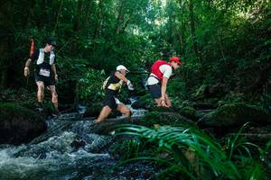 BIB: 
                            <button type="button" onclick="openModal(26773218)" class="btn btn-primary btn-sm float-right btn-popup" data-toggle="modal" data-target=".modal-high-quality">
                        <i class="fas fa-shopping-cart"></i> Add to Cart
                    </button>
                                            <button type="button" onclick="isThisMe(26773218, true)" class="btn btn-success btn-sm float-right btn-popup btn-isme hidden" data-toggle="tooltip" data-placement="bottom" title="นี่คือรูปของคุณใช่ไหม คลิกที่นี่เพื่อเอาเข้าอัลบั้ม">
                        <i class="fas fa-plus"></i> Add to album
                    </button>
                    <button type="button" onclick="isThisMe(26773218, false)" class="btn btn-warning btn-sm float-right btn-popup btn-isnotme hidden">
                        <i class="fas fa-ban"></i> Remove from album
                    </button>