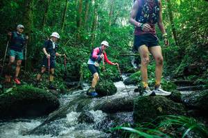 BIB: 
                            <button type="button" onclick="openModal(26780725)" class="btn btn-primary btn-sm float-right btn-popup" data-toggle="modal" data-target=".modal-high-quality">
                        <i class="fas fa-shopping-cart"></i> Add to Cart
                    </button>
                                            <button type="button" onclick="isThisMe(26780725, true)" class="btn btn-success btn-sm float-right btn-popup btn-isme hidden" data-toggle="tooltip" data-placement="bottom" title="นี่คือรูปของคุณใช่ไหม คลิกที่นี่เพื่อเอาเข้าอัลบั้ม">
                        <i class="fas fa-plus"></i> Add to album
                    </button>
                    <button type="button" onclick="isThisMe(26780725, false)" class="btn btn-warning btn-sm float-right btn-popup btn-isnotme hidden">
                        <i class="fas fa-ban"></i> Remove from album
                    </button>