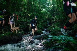 BIB: 
                            <button type="button" onclick="openModal(26773737)" class="btn btn-primary btn-sm float-right btn-popup" data-toggle="modal" data-target=".modal-high-quality">
                        <i class="fas fa-shopping-cart"></i> Add to Cart
                    </button>
                                            <button type="button" onclick="isThisMe(26773737, true)" class="btn btn-success btn-sm float-right btn-popup btn-isme hidden" data-toggle="tooltip" data-placement="bottom" title="นี่คือรูปของคุณใช่ไหม คลิกที่นี่เพื่อเอาเข้าอัลบั้ม">
                        <i class="fas fa-plus"></i> Add to album
                    </button>
                    <button type="button" onclick="isThisMe(26773737, false)" class="btn btn-warning btn-sm float-right btn-popup btn-isnotme hidden">
                        <i class="fas fa-ban"></i> Remove from album
                    </button>