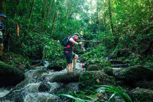 BIB: 
                            <button type="button" onclick="openModal(26780761)" class="btn btn-primary btn-sm float-right btn-popup" data-toggle="modal" data-target=".modal-high-quality">
                        <i class="fas fa-shopping-cart"></i> Add to Cart
                    </button>
                                            <button type="button" onclick="isThisMe(26780761, true)" class="btn btn-success btn-sm float-right btn-popup btn-isme hidden" data-toggle="tooltip" data-placement="bottom" title="นี่คือรูปของคุณใช่ไหม คลิกที่นี่เพื่อเอาเข้าอัลบั้ม">
                        <i class="fas fa-plus"></i> Add to album
                    </button>
                    <button type="button" onclick="isThisMe(26780761, false)" class="btn btn-warning btn-sm float-right btn-popup btn-isnotme hidden">
                        <i class="fas fa-ban"></i> Remove from album
                    </button>