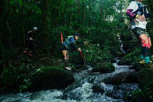 BIB: 
                            <button type="button" onclick="openModal(26781637)" class="btn btn-primary btn-sm float-right btn-popup" data-toggle="modal" data-target=".modal-high-quality">
                        <i class="fas fa-shopping-cart"></i> Add to Cart
                    </button>
                                            <button type="button" onclick="isThisMe(26781637, true)" class="btn btn-success btn-sm float-right btn-popup btn-isme hidden" data-toggle="tooltip" data-placement="bottom" title="นี่คือรูปของคุณใช่ไหม คลิกที่นี่เพื่อเอาเข้าอัลบั้ม">
                        <i class="fas fa-plus"></i> Add to album
                    </button>
                    <button type="button" onclick="isThisMe(26781637, false)" class="btn btn-warning btn-sm float-right btn-popup btn-isnotme hidden">
                        <i class="fas fa-ban"></i> Remove from album
                    </button>