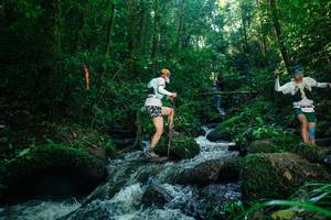 BIB: 
                            <button type="button" onclick="openModal(26780803)" class="btn btn-primary btn-sm float-right btn-popup" data-toggle="modal" data-target=".modal-high-quality">
                        <i class="fas fa-shopping-cart"></i> Add to Cart
                    </button>
                                            <button type="button" onclick="isThisMe(26780803, true)" class="btn btn-success btn-sm float-right btn-popup btn-isme hidden" data-toggle="tooltip" data-placement="bottom" title="นี่คือรูปของคุณใช่ไหม คลิกที่นี่เพื่อเอาเข้าอัลบั้ม">
                        <i class="fas fa-plus"></i> Add to album
                    </button>
                    <button type="button" onclick="isThisMe(26780803, false)" class="btn btn-warning btn-sm float-right btn-popup btn-isnotme hidden">
                        <i class="fas fa-ban"></i> Remove from album
                    </button>