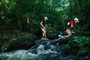 BIB: 
                            <button type="button" onclick="openModal(26772661)" class="btn btn-primary btn-sm float-right btn-popup" data-toggle="modal" data-target=".modal-high-quality">
                        <i class="fas fa-shopping-cart"></i> Add to Cart
                    </button>
                                            <button type="button" onclick="isThisMe(26772661, true)" class="btn btn-success btn-sm float-right btn-popup btn-isme hidden" data-toggle="tooltip" data-placement="bottom" title="นี่คือรูปของคุณใช่ไหม คลิกที่นี่เพื่อเอาเข้าอัลบั้ม">
                        <i class="fas fa-plus"></i> Add to album
                    </button>
                    <button type="button" onclick="isThisMe(26772661, false)" class="btn btn-warning btn-sm float-right btn-popup btn-isnotme hidden">
                        <i class="fas fa-ban"></i> Remove from album
                    </button>