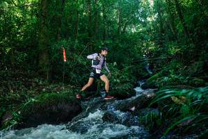 BIB: 
                            <button type="button" onclick="openModal(26772615)" class="btn btn-primary btn-sm float-right btn-popup" data-toggle="modal" data-target=".modal-high-quality">
                        <i class="fas fa-shopping-cart"></i> Add to Cart
                    </button>
                                            <button type="button" onclick="isThisMe(26772615, true)" class="btn btn-success btn-sm float-right btn-popup btn-isme hidden" data-toggle="tooltip" data-placement="bottom" title="นี่คือรูปของคุณใช่ไหม คลิกที่นี่เพื่อเอาเข้าอัลบั้ม">
                        <i class="fas fa-plus"></i> Add to album
                    </button>
                    <button type="button" onclick="isThisMe(26772615, false)" class="btn btn-warning btn-sm float-right btn-popup btn-isnotme hidden">
                        <i class="fas fa-ban"></i> Remove from album
                    </button>