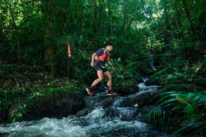 BIB: 
                            <button type="button" onclick="openModal(26772804)" class="btn btn-primary btn-sm float-right btn-popup" data-toggle="modal" data-target=".modal-high-quality">
                        <i class="fas fa-shopping-cart"></i> Add to Cart
                    </button>
                                            <button type="button" onclick="isThisMe(26772804, true)" class="btn btn-success btn-sm float-right btn-popup btn-isme hidden" data-toggle="tooltip" data-placement="bottom" title="นี่คือรูปของคุณใช่ไหม คลิกที่นี่เพื่อเอาเข้าอัลบั้ม">
                        <i class="fas fa-plus"></i> Add to album
                    </button>
                    <button type="button" onclick="isThisMe(26772804, false)" class="btn btn-warning btn-sm float-right btn-popup btn-isnotme hidden">
                        <i class="fas fa-ban"></i> Remove from album
                    </button>