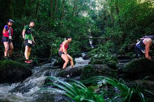 BIB: 
                            <button type="button" onclick="openModal(26780100)" class="btn btn-primary btn-sm float-right btn-popup" data-toggle="modal" data-target=".modal-high-quality">
                        <i class="fas fa-shopping-cart"></i> Add to Cart
                    </button>
                                            <button type="button" onclick="isThisMe(26780100, true)" class="btn btn-success btn-sm float-right btn-popup btn-isme hidden" data-toggle="tooltip" data-placement="bottom" title="นี่คือรูปของคุณใช่ไหม คลิกที่นี่เพื่อเอาเข้าอัลบั้ม">
                        <i class="fas fa-plus"></i> Add to album
                    </button>
                    <button type="button" onclick="isThisMe(26780100, false)" class="btn btn-warning btn-sm float-right btn-popup btn-isnotme hidden">
                        <i class="fas fa-ban"></i> Remove from album
                    </button>