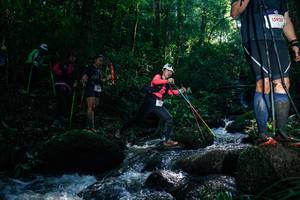 BIB: 
                            <button type="button" onclick="openModal(26777998)" class="btn btn-primary btn-sm float-right btn-popup" data-toggle="modal" data-target=".modal-high-quality">
                        <i class="fas fa-shopping-cart"></i> Add to Cart
                    </button>
                                            <button type="button" onclick="isThisMe(26777998, true)" class="btn btn-success btn-sm float-right btn-popup btn-isme hidden" data-toggle="tooltip" data-placement="bottom" title="นี่คือรูปของคุณใช่ไหม คลิกที่นี่เพื่อเอาเข้าอัลบั้ม">
                        <i class="fas fa-plus"></i> Add to album
                    </button>
                    <button type="button" onclick="isThisMe(26777998, false)" class="btn btn-warning btn-sm float-right btn-popup btn-isnotme hidden">
                        <i class="fas fa-ban"></i> Remove from album
                    </button>