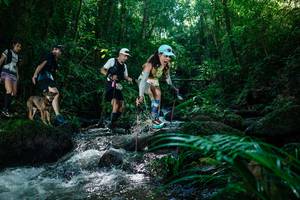 BIB: 
                            <button type="button" onclick="openModal(26773729)" class="btn btn-primary btn-sm float-right btn-popup" data-toggle="modal" data-target=".modal-high-quality">
                        <i class="fas fa-shopping-cart"></i> Add to Cart
                    </button>
                                            <button type="button" onclick="isThisMe(26773729, true)" class="btn btn-success btn-sm float-right btn-popup btn-isme hidden" data-toggle="tooltip" data-placement="bottom" title="นี่คือรูปของคุณใช่ไหม คลิกที่นี่เพื่อเอาเข้าอัลบั้ม">
                        <i class="fas fa-plus"></i> Add to album
                    </button>
                    <button type="button" onclick="isThisMe(26773729, false)" class="btn btn-warning btn-sm float-right btn-popup btn-isnotme hidden">
                        <i class="fas fa-ban"></i> Remove from album
                    </button>