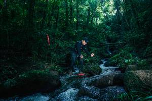 BIB: 
                            <button type="button" onclick="openModal(26779029)" class="btn btn-primary btn-sm float-right btn-popup" data-toggle="modal" data-target=".modal-high-quality">
                        <i class="fas fa-shopping-cart"></i> Add to Cart
                    </button>
                                            <button type="button" onclick="isThisMe(26779029, true)" class="btn btn-success btn-sm float-right btn-popup btn-isme hidden" data-toggle="tooltip" data-placement="bottom" title="นี่คือรูปของคุณใช่ไหม คลิกที่นี่เพื่อเอาเข้าอัลบั้ม">
                        <i class="fas fa-plus"></i> Add to album
                    </button>
                    <button type="button" onclick="isThisMe(26779029, false)" class="btn btn-warning btn-sm float-right btn-popup btn-isnotme hidden">
                        <i class="fas fa-ban"></i> Remove from album
                    </button>