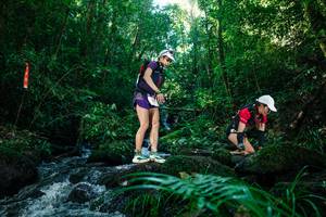 BIB: 
                            <button type="button" onclick="openModal(26772670)" class="btn btn-primary btn-sm float-right btn-popup" data-toggle="modal" data-target=".modal-high-quality">
                        <i class="fas fa-shopping-cart"></i> Add to Cart
                    </button>
                                            <button type="button" onclick="isThisMe(26772670, true)" class="btn btn-success btn-sm float-right btn-popup btn-isme hidden" data-toggle="tooltip" data-placement="bottom" title="นี่คือรูปของคุณใช่ไหม คลิกที่นี่เพื่อเอาเข้าอัลบั้ม">
                        <i class="fas fa-plus"></i> Add to album
                    </button>
                    <button type="button" onclick="isThisMe(26772670, false)" class="btn btn-warning btn-sm float-right btn-popup btn-isnotme hidden">
                        <i class="fas fa-ban"></i> Remove from album
                    </button>