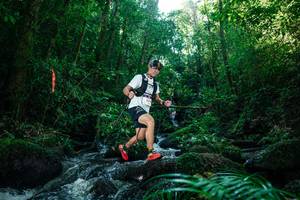 BIB: 
                            <button type="button" onclick="openModal(26774898)" class="btn btn-primary btn-sm float-right btn-popup" data-toggle="modal" data-target=".modal-high-quality">
                        <i class="fas fa-shopping-cart"></i> Add to Cart
                    </button>
                                            <button type="button" onclick="isThisMe(26774898, true)" class="btn btn-success btn-sm float-right btn-popup btn-isme hidden" data-toggle="tooltip" data-placement="bottom" title="นี่คือรูปของคุณใช่ไหม คลิกที่นี่เพื่อเอาเข้าอัลบั้ม">
                        <i class="fas fa-plus"></i> Add to album
                    </button>
                    <button type="button" onclick="isThisMe(26774898, false)" class="btn btn-warning btn-sm float-right btn-popup btn-isnotme hidden">
                        <i class="fas fa-ban"></i> Remove from album
                    </button>