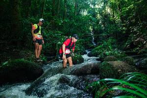 BIB: 
                            <button type="button" onclick="openModal(26781299)" class="btn btn-primary btn-sm float-right btn-popup" data-toggle="modal" data-target=".modal-high-quality">
                        <i class="fas fa-shopping-cart"></i> Add to Cart
                    </button>
                                            <button type="button" onclick="isThisMe(26781299, true)" class="btn btn-success btn-sm float-right btn-popup btn-isme hidden" data-toggle="tooltip" data-placement="bottom" title="นี่คือรูปของคุณใช่ไหม คลิกที่นี่เพื่อเอาเข้าอัลบั้ม">
                        <i class="fas fa-plus"></i> Add to album
                    </button>
                    <button type="button" onclick="isThisMe(26781299, false)" class="btn btn-warning btn-sm float-right btn-popup btn-isnotme hidden">
                        <i class="fas fa-ban"></i> Remove from album
                    </button>