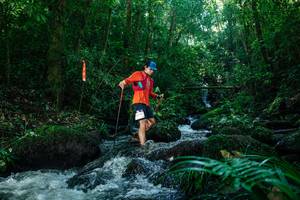 BIB: 
                            <button type="button" onclick="openModal(26773123)" class="btn btn-primary btn-sm float-right btn-popup" data-toggle="modal" data-target=".modal-high-quality">
                        <i class="fas fa-shopping-cart"></i> Add to Cart
                    </button>
                                            <button type="button" onclick="isThisMe(26773123, true)" class="btn btn-success btn-sm float-right btn-popup btn-isme hidden" data-toggle="tooltip" data-placement="bottom" title="นี่คือรูปของคุณใช่ไหม คลิกที่นี่เพื่อเอาเข้าอัลบั้ม">
                        <i class="fas fa-plus"></i> Add to album
                    </button>
                    <button type="button" onclick="isThisMe(26773123, false)" class="btn btn-warning btn-sm float-right btn-popup btn-isnotme hidden">
                        <i class="fas fa-ban"></i> Remove from album
                    </button>