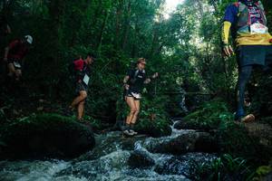 BIB: 
                            <button type="button" onclick="openModal(26775233)" class="btn btn-primary btn-sm float-right btn-popup" data-toggle="modal" data-target=".modal-high-quality">
                        <i class="fas fa-shopping-cart"></i> Add to Cart
                    </button>
                                            <button type="button" onclick="isThisMe(26775233, true)" class="btn btn-success btn-sm float-right btn-popup btn-isme hidden" data-toggle="tooltip" data-placement="bottom" title="นี่คือรูปของคุณใช่ไหม คลิกที่นี่เพื่อเอาเข้าอัลบั้ม">
                        <i class="fas fa-plus"></i> Add to album
                    </button>
                    <button type="button" onclick="isThisMe(26775233, false)" class="btn btn-warning btn-sm float-right btn-popup btn-isnotme hidden">
                        <i class="fas fa-ban"></i> Remove from album
                    </button>