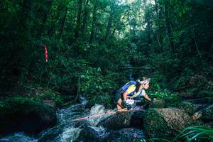 BIB: 
                            <button type="button" onclick="openModal(26779386)" class="btn btn-primary btn-sm float-right btn-popup" data-toggle="modal" data-target=".modal-high-quality">
                        <i class="fas fa-shopping-cart"></i> Add to Cart
                    </button>
                                            <button type="button" onclick="isThisMe(26779386, true)" class="btn btn-success btn-sm float-right btn-popup btn-isme hidden" data-toggle="tooltip" data-placement="bottom" title="นี่คือรูปของคุณใช่ไหม คลิกที่นี่เพื่อเอาเข้าอัลบั้ม">
                        <i class="fas fa-plus"></i> Add to album
                    </button>
                    <button type="button" onclick="isThisMe(26779386, false)" class="btn btn-warning btn-sm float-right btn-popup btn-isnotme hidden">
                        <i class="fas fa-ban"></i> Remove from album
                    </button>