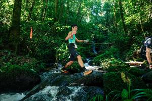 BIB: 
                            <button type="button" onclick="openModal(26695639)" class="btn btn-primary btn-sm float-right btn-popup" data-toggle="modal" data-target=".modal-high-quality">
                        <i class="fas fa-shopping-cart"></i> Add to Cart
                    </button>
                                            <button type="button" onclick="isThisMe(26695639, true)" class="btn btn-success btn-sm float-right btn-popup btn-isme hidden" data-toggle="tooltip" data-placement="bottom" title="นี่คือรูปของคุณใช่ไหม คลิกที่นี่เพื่อเอาเข้าอัลบั้ม">
                        <i class="fas fa-plus"></i> Add to album
                    </button>
                    <button type="button" onclick="isThisMe(26695639, false)" class="btn btn-warning btn-sm float-right btn-popup btn-isnotme hidden">
                        <i class="fas fa-ban"></i> Remove from album
                    </button>