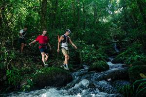 BIB: 
                            <button type="button" onclick="openModal(26744697)" class="btn btn-primary btn-sm float-right btn-popup" data-toggle="modal" data-target=".modal-high-quality">
                        <i class="fas fa-shopping-cart"></i> Add to Cart
                    </button>
                                            <button type="button" onclick="isThisMe(26744697, true)" class="btn btn-success btn-sm float-right btn-popup btn-isme hidden" data-toggle="tooltip" data-placement="bottom" title="นี่คือรูปของคุณใช่ไหม คลิกที่นี่เพื่อเอาเข้าอัลบั้ม">
                        <i class="fas fa-plus"></i> Add to album
                    </button>
                    <button type="button" onclick="isThisMe(26744697, false)" class="btn btn-warning btn-sm float-right btn-popup btn-isnotme hidden">
                        <i class="fas fa-ban"></i> Remove from album
                    </button>