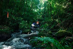 BIB: 
                            <button type="button" onclick="openModal(26756205)" class="btn btn-primary btn-sm float-right btn-popup" data-toggle="modal" data-target=".modal-high-quality">
                        <i class="fas fa-shopping-cart"></i> Add to Cart
                    </button>
                                            <button type="button" onclick="isThisMe(26756205, true)" class="btn btn-success btn-sm float-right btn-popup btn-isme hidden" data-toggle="tooltip" data-placement="bottom" title="นี่คือรูปของคุณใช่ไหม คลิกที่นี่เพื่อเอาเข้าอัลบั้ม">
                        <i class="fas fa-plus"></i> Add to album
                    </button>
                    <button type="button" onclick="isThisMe(26756205, false)" class="btn btn-warning btn-sm float-right btn-popup btn-isnotme hidden">
                        <i class="fas fa-ban"></i> Remove from album
                    </button>