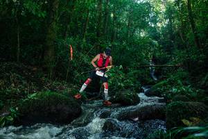 BIB: 
                            <button type="button" onclick="openModal(26774707)" class="btn btn-primary btn-sm float-right btn-popup" data-toggle="modal" data-target=".modal-high-quality">
                        <i class="fas fa-shopping-cart"></i> Add to Cart
                    </button>
                                            <button type="button" onclick="isThisMe(26774707, true)" class="btn btn-success btn-sm float-right btn-popup btn-isme hidden" data-toggle="tooltip" data-placement="bottom" title="นี่คือรูปของคุณใช่ไหม คลิกที่นี่เพื่อเอาเข้าอัลบั้ม">
                        <i class="fas fa-plus"></i> Add to album
                    </button>
                    <button type="button" onclick="isThisMe(26774707, false)" class="btn btn-warning btn-sm float-right btn-popup btn-isnotme hidden">
                        <i class="fas fa-ban"></i> Remove from album
                    </button>