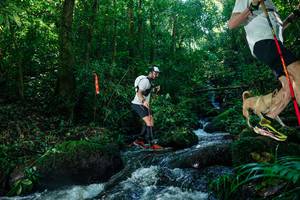 BIB: 
                            <button type="button" onclick="openModal(26756151)" class="btn btn-primary btn-sm float-right btn-popup" data-toggle="modal" data-target=".modal-high-quality">
                        <i class="fas fa-shopping-cart"></i> Add to Cart
                    </button>
                                            <button type="button" onclick="isThisMe(26756151, true)" class="btn btn-success btn-sm float-right btn-popup btn-isme hidden" data-toggle="tooltip" data-placement="bottom" title="นี่คือรูปของคุณใช่ไหม คลิกที่นี่เพื่อเอาเข้าอัลบั้ม">
                        <i class="fas fa-plus"></i> Add to album
                    </button>
                    <button type="button" onclick="isThisMe(26756151, false)" class="btn btn-warning btn-sm float-right btn-popup btn-isnotme hidden">
                        <i class="fas fa-ban"></i> Remove from album
                    </button>