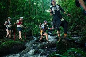 BIB: 
                            <button type="button" onclick="openModal(26780190)" class="btn btn-primary btn-sm float-right btn-popup" data-toggle="modal" data-target=".modal-high-quality">
                        <i class="fas fa-shopping-cart"></i> Add to Cart
                    </button>
                                            <button type="button" onclick="isThisMe(26780190, true)" class="btn btn-success btn-sm float-right btn-popup btn-isme hidden" data-toggle="tooltip" data-placement="bottom" title="นี่คือรูปของคุณใช่ไหม คลิกที่นี่เพื่อเอาเข้าอัลบั้ม">
                        <i class="fas fa-plus"></i> Add to album
                    </button>
                    <button type="button" onclick="isThisMe(26780190, false)" class="btn btn-warning btn-sm float-right btn-popup btn-isnotme hidden">
                        <i class="fas fa-ban"></i> Remove from album
                    </button>