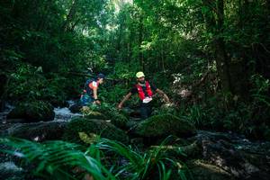 BIB: 
                            <button type="button" onclick="openModal(26772500)" class="btn btn-primary btn-sm float-right btn-popup" data-toggle="modal" data-target=".modal-high-quality">
                        <i class="fas fa-shopping-cart"></i> Add to Cart
                    </button>
                                            <button type="button" onclick="isThisMe(26772500, true)" class="btn btn-success btn-sm float-right btn-popup btn-isme hidden" data-toggle="tooltip" data-placement="bottom" title="นี่คือรูปของคุณใช่ไหม คลิกที่นี่เพื่อเอาเข้าอัลบั้ม">
                        <i class="fas fa-plus"></i> Add to album
                    </button>
                    <button type="button" onclick="isThisMe(26772500, false)" class="btn btn-warning btn-sm float-right btn-popup btn-isnotme hidden">
                        <i class="fas fa-ban"></i> Remove from album
                    </button>