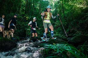 BIB: 
                            <button type="button" onclick="openModal(26773730)" class="btn btn-primary btn-sm float-right btn-popup" data-toggle="modal" data-target=".modal-high-quality">
                        <i class="fas fa-shopping-cart"></i> Add to Cart
                    </button>
                                            <button type="button" onclick="isThisMe(26773730, true)" class="btn btn-success btn-sm float-right btn-popup btn-isme hidden" data-toggle="tooltip" data-placement="bottom" title="นี่คือรูปของคุณใช่ไหม คลิกที่นี่เพื่อเอาเข้าอัลบั้ม">
                        <i class="fas fa-plus"></i> Add to album
                    </button>
                    <button type="button" onclick="isThisMe(26773730, false)" class="btn btn-warning btn-sm float-right btn-popup btn-isnotme hidden">
                        <i class="fas fa-ban"></i> Remove from album
                    </button>