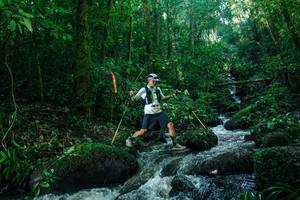 BIB: 
                            <button type="button" onclick="openModal(26780214)" class="btn btn-primary btn-sm float-right btn-popup" data-toggle="modal" data-target=".modal-high-quality">
                        <i class="fas fa-shopping-cart"></i> Add to Cart
                    </button>
                                            <button type="button" onclick="isThisMe(26780214, true)" class="btn btn-success btn-sm float-right btn-popup btn-isme hidden" data-toggle="tooltip" data-placement="bottom" title="นี่คือรูปของคุณใช่ไหม คลิกที่นี่เพื่อเอาเข้าอัลบั้ม">
                        <i class="fas fa-plus"></i> Add to album
                    </button>
                    <button type="button" onclick="isThisMe(26780214, false)" class="btn btn-warning btn-sm float-right btn-popup btn-isnotme hidden">
                        <i class="fas fa-ban"></i> Remove from album
                    </button>