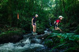 BIB: 
                            <button type="button" onclick="openModal(26772665)" class="btn btn-primary btn-sm float-right btn-popup" data-toggle="modal" data-target=".modal-high-quality">
                        <i class="fas fa-shopping-cart"></i> Add to Cart
                    </button>
                                            <button type="button" onclick="isThisMe(26772665, true)" class="btn btn-success btn-sm float-right btn-popup btn-isme hidden" data-toggle="tooltip" data-placement="bottom" title="นี่คือรูปของคุณใช่ไหม คลิกที่นี่เพื่อเอาเข้าอัลบั้ม">
                        <i class="fas fa-plus"></i> Add to album
                    </button>
                    <button type="button" onclick="isThisMe(26772665, false)" class="btn btn-warning btn-sm float-right btn-popup btn-isnotme hidden">
                        <i class="fas fa-ban"></i> Remove from album
                    </button>