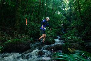 BIB: 
                            <button type="button" onclick="openModal(26774544)" class="btn btn-primary btn-sm float-right btn-popup" data-toggle="modal" data-target=".modal-high-quality">
                        <i class="fas fa-shopping-cart"></i> Add to Cart
                    </button>
                                            <button type="button" onclick="isThisMe(26774544, true)" class="btn btn-success btn-sm float-right btn-popup btn-isme hidden" data-toggle="tooltip" data-placement="bottom" title="นี่คือรูปของคุณใช่ไหม คลิกที่นี่เพื่อเอาเข้าอัลบั้ม">
                        <i class="fas fa-plus"></i> Add to album
                    </button>
                    <button type="button" onclick="isThisMe(26774544, false)" class="btn btn-warning btn-sm float-right btn-popup btn-isnotme hidden">
                        <i class="fas fa-ban"></i> Remove from album
                    </button>