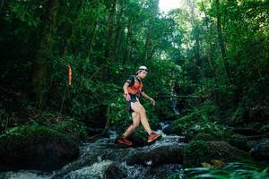 BIB: 
                            <button type="button" onclick="openModal(26774681)" class="btn btn-primary btn-sm float-right btn-popup" data-toggle="modal" data-target=".modal-high-quality">
                        <i class="fas fa-shopping-cart"></i> Add to Cart
                    </button>
                                            <button type="button" onclick="isThisMe(26774681, true)" class="btn btn-success btn-sm float-right btn-popup btn-isme hidden" data-toggle="tooltip" data-placement="bottom" title="นี่คือรูปของคุณใช่ไหม คลิกที่นี่เพื่อเอาเข้าอัลบั้ม">
                        <i class="fas fa-plus"></i> Add to album
                    </button>
                    <button type="button" onclick="isThisMe(26774681, false)" class="btn btn-warning btn-sm float-right btn-popup btn-isnotme hidden">
                        <i class="fas fa-ban"></i> Remove from album
                    </button>