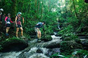 BIB: 
                            <button type="button" onclick="openModal(26780707)" class="btn btn-primary btn-sm float-right btn-popup" data-toggle="modal" data-target=".modal-high-quality">
                        <i class="fas fa-shopping-cart"></i> Add to Cart
                    </button>
                                            <button type="button" onclick="isThisMe(26780707, true)" class="btn btn-success btn-sm float-right btn-popup btn-isme hidden" data-toggle="tooltip" data-placement="bottom" title="นี่คือรูปของคุณใช่ไหม คลิกที่นี่เพื่อเอาเข้าอัลบั้ม">
                        <i class="fas fa-plus"></i> Add to album
                    </button>
                    <button type="button" onclick="isThisMe(26780707, false)" class="btn btn-warning btn-sm float-right btn-popup btn-isnotme hidden">
                        <i class="fas fa-ban"></i> Remove from album
                    </button>