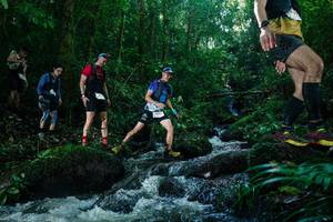 BIB: 
                            <button type="button" onclick="openModal(26774431)" class="btn btn-primary btn-sm float-right btn-popup" data-toggle="modal" data-target=".modal-high-quality">
                        <i class="fas fa-shopping-cart"></i> Add to Cart
                    </button>
                                            <button type="button" onclick="isThisMe(26774431, true)" class="btn btn-success btn-sm float-right btn-popup btn-isme hidden" data-toggle="tooltip" data-placement="bottom" title="นี่คือรูปของคุณใช่ไหม คลิกที่นี่เพื่อเอาเข้าอัลบั้ม">
                        <i class="fas fa-plus"></i> Add to album
                    </button>
                    <button type="button" onclick="isThisMe(26774431, false)" class="btn btn-warning btn-sm float-right btn-popup btn-isnotme hidden">
                        <i class="fas fa-ban"></i> Remove from album
                    </button>