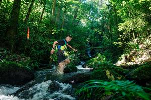 BIB: 
                            <button type="button" onclick="openModal(26694574)" class="btn btn-primary btn-sm float-right btn-popup" data-toggle="modal" data-target=".modal-high-quality">
                        <i class="fas fa-shopping-cart"></i> Add to Cart
                    </button>
                                            <button type="button" onclick="isThisMe(26694574, true)" class="btn btn-success btn-sm float-right btn-popup btn-isme hidden" data-toggle="tooltip" data-placement="bottom" title="นี่คือรูปของคุณใช่ไหม คลิกที่นี่เพื่อเอาเข้าอัลบั้ม">
                        <i class="fas fa-plus"></i> Add to album
                    </button>
                    <button type="button" onclick="isThisMe(26694574, false)" class="btn btn-warning btn-sm float-right btn-popup btn-isnotme hidden">
                        <i class="fas fa-ban"></i> Remove from album
                    </button>