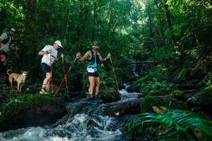 BIB: 
                            <button type="button" onclick="openModal(26756128)" class="btn btn-primary btn-sm float-right btn-popup" data-toggle="modal" data-target=".modal-high-quality">
                        <i class="fas fa-shopping-cart"></i> Add to Cart
                    </button>
                                            <button type="button" onclick="isThisMe(26756128, true)" class="btn btn-success btn-sm float-right btn-popup btn-isme hidden" data-toggle="tooltip" data-placement="bottom" title="นี่คือรูปของคุณใช่ไหม คลิกที่นี่เพื่อเอาเข้าอัลบั้ม">
                        <i class="fas fa-plus"></i> Add to album
                    </button>
                    <button type="button" onclick="isThisMe(26756128, false)" class="btn btn-warning btn-sm float-right btn-popup btn-isnotme hidden">
                        <i class="fas fa-ban"></i> Remove from album
                    </button>