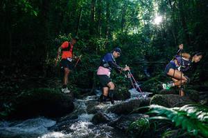 BIB: 
                            <button type="button" onclick="openModal(26777693)" class="btn btn-primary btn-sm float-right btn-popup" data-toggle="modal" data-target=".modal-high-quality">
                        <i class="fas fa-shopping-cart"></i> Add to Cart
                    </button>
                                            <button type="button" onclick="isThisMe(26777693, true)" class="btn btn-success btn-sm float-right btn-popup btn-isme hidden" data-toggle="tooltip" data-placement="bottom" title="นี่คือรูปของคุณใช่ไหม คลิกที่นี่เพื่อเอาเข้าอัลบั้ม">
                        <i class="fas fa-plus"></i> Add to album
                    </button>
                    <button type="button" onclick="isThisMe(26777693, false)" class="btn btn-warning btn-sm float-right btn-popup btn-isnotme hidden">
                        <i class="fas fa-ban"></i> Remove from album
                    </button>