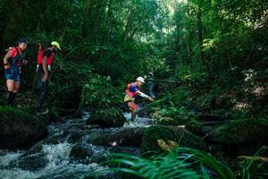 BIB: 
                            <button type="button" onclick="openModal(26772482)" class="btn btn-primary btn-sm float-right btn-popup" data-toggle="modal" data-target=".modal-high-quality">
                        <i class="fas fa-shopping-cart"></i> Add to Cart
                    </button>
                                            <button type="button" onclick="isThisMe(26772482, true)" class="btn btn-success btn-sm float-right btn-popup btn-isme hidden" data-toggle="tooltip" data-placement="bottom" title="นี่คือรูปของคุณใช่ไหม คลิกที่นี่เพื่อเอาเข้าอัลบั้ม">
                        <i class="fas fa-plus"></i> Add to album
                    </button>
                    <button type="button" onclick="isThisMe(26772482, false)" class="btn btn-warning btn-sm float-right btn-popup btn-isnotme hidden">
                        <i class="fas fa-ban"></i> Remove from album
                    </button>