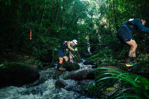 BIB: 
                            <button type="button" onclick="openModal(26781514)" class="btn btn-primary btn-sm float-right btn-popup" data-toggle="modal" data-target=".modal-high-quality">
                        <i class="fas fa-shopping-cart"></i> Add to Cart
                    </button>
                                            <button type="button" onclick="isThisMe(26781514, true)" class="btn btn-success btn-sm float-right btn-popup btn-isme hidden" data-toggle="tooltip" data-placement="bottom" title="นี่คือรูปของคุณใช่ไหม คลิกที่นี่เพื่อเอาเข้าอัลบั้ม">
                        <i class="fas fa-plus"></i> Add to album
                    </button>
                    <button type="button" onclick="isThisMe(26781514, false)" class="btn btn-warning btn-sm float-right btn-popup btn-isnotme hidden">
                        <i class="fas fa-ban"></i> Remove from album
                    </button>