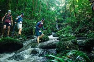 BIB: 
                            <button type="button" onclick="openModal(26780697)" class="btn btn-primary btn-sm float-right btn-popup" data-toggle="modal" data-target=".modal-high-quality">
                        <i class="fas fa-shopping-cart"></i> Add to Cart
                    </button>
                                            <button type="button" onclick="isThisMe(26780697, true)" class="btn btn-success btn-sm float-right btn-popup btn-isme hidden" data-toggle="tooltip" data-placement="bottom" title="นี่คือรูปของคุณใช่ไหม คลิกที่นี่เพื่อเอาเข้าอัลบั้ม">
                        <i class="fas fa-plus"></i> Add to album
                    </button>
                    <button type="button" onclick="isThisMe(26780697, false)" class="btn btn-warning btn-sm float-right btn-popup btn-isnotme hidden">
                        <i class="fas fa-ban"></i> Remove from album
                    </button>