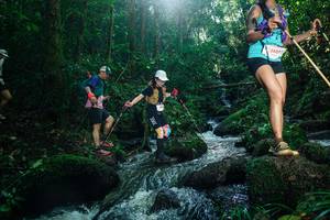 BIB: 
                            <button type="button" onclick="openModal(26780978)" class="btn btn-primary btn-sm float-right btn-popup" data-toggle="modal" data-target=".modal-high-quality">
                        <i class="fas fa-shopping-cart"></i> Add to Cart
                    </button>
                                            <button type="button" onclick="isThisMe(26780978, true)" class="btn btn-success btn-sm float-right btn-popup btn-isme hidden" data-toggle="tooltip" data-placement="bottom" title="นี่คือรูปของคุณใช่ไหม คลิกที่นี่เพื่อเอาเข้าอัลบั้ม">
                        <i class="fas fa-plus"></i> Add to album
                    </button>
                    <button type="button" onclick="isThisMe(26780978, false)" class="btn btn-warning btn-sm float-right btn-popup btn-isnotme hidden">
                        <i class="fas fa-ban"></i> Remove from album
                    </button>