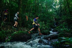 BIB: 
                            <button type="button" onclick="openModal(26774376)" class="btn btn-primary btn-sm float-right btn-popup" data-toggle="modal" data-target=".modal-high-quality">
                        <i class="fas fa-shopping-cart"></i> Add to Cart
                    </button>
                                            <button type="button" onclick="isThisMe(26774376, true)" class="btn btn-success btn-sm float-right btn-popup btn-isme hidden" data-toggle="tooltip" data-placement="bottom" title="นี่คือรูปของคุณใช่ไหม คลิกที่นี่เพื่อเอาเข้าอัลบั้ม">
                        <i class="fas fa-plus"></i> Add to album
                    </button>
                    <button type="button" onclick="isThisMe(26774376, false)" class="btn btn-warning btn-sm float-right btn-popup btn-isnotme hidden">
                        <i class="fas fa-ban"></i> Remove from album
                    </button>