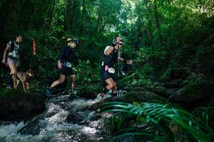 BIB: 
                            <button type="button" onclick="openModal(26773738)" class="btn btn-primary btn-sm float-right btn-popup" data-toggle="modal" data-target=".modal-high-quality">
                        <i class="fas fa-shopping-cart"></i> Add to Cart
                    </button>
                                            <button type="button" onclick="isThisMe(26773738, true)" class="btn btn-success btn-sm float-right btn-popup btn-isme hidden" data-toggle="tooltip" data-placement="bottom" title="นี่คือรูปของคุณใช่ไหม คลิกที่นี่เพื่อเอาเข้าอัลบั้ม">
                        <i class="fas fa-plus"></i> Add to album
                    </button>
                    <button type="button" onclick="isThisMe(26773738, false)" class="btn btn-warning btn-sm float-right btn-popup btn-isnotme hidden">
                        <i class="fas fa-ban"></i> Remove from album
                    </button>