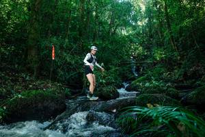 BIB: 
                            <button type="button" onclick="openModal(26772709)" class="btn btn-primary btn-sm float-right btn-popup" data-toggle="modal" data-target=".modal-high-quality">
                        <i class="fas fa-shopping-cart"></i> Add to Cart
                    </button>
                                            <button type="button" onclick="isThisMe(26772709, true)" class="btn btn-success btn-sm float-right btn-popup btn-isme hidden" data-toggle="tooltip" data-placement="bottom" title="นี่คือรูปของคุณใช่ไหม คลิกที่นี่เพื่อเอาเข้าอัลบั้ม">
                        <i class="fas fa-plus"></i> Add to album
                    </button>
                    <button type="button" onclick="isThisMe(26772709, false)" class="btn btn-warning btn-sm float-right btn-popup btn-isnotme hidden">
                        <i class="fas fa-ban"></i> Remove from album
                    </button>