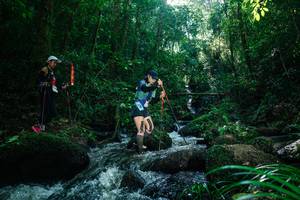 BIB: 
                            <button type="button" onclick="openModal(26781646)" class="btn btn-primary btn-sm float-right btn-popup" data-toggle="modal" data-target=".modal-high-quality">
                        <i class="fas fa-shopping-cart"></i> Add to Cart
                    </button>
                                            <button type="button" onclick="isThisMe(26781646, true)" class="btn btn-success btn-sm float-right btn-popup btn-isme hidden" data-toggle="tooltip" data-placement="bottom" title="นี่คือรูปของคุณใช่ไหม คลิกที่นี่เพื่อเอาเข้าอัลบั้ม">
                        <i class="fas fa-plus"></i> Add to album
                    </button>
                    <button type="button" onclick="isThisMe(26781646, false)" class="btn btn-warning btn-sm float-right btn-popup btn-isnotme hidden">
                        <i class="fas fa-ban"></i> Remove from album
                    </button>