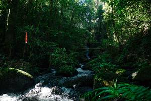 BIB: 
                            <button type="button" onclick="openModal(26696928)" class="btn btn-primary btn-sm float-right btn-popup" data-toggle="modal" data-target=".modal-high-quality">
                        <i class="fas fa-shopping-cart"></i> Add to Cart
                    </button>
                                            <button type="button" onclick="isThisMe(26696928, true)" class="btn btn-success btn-sm float-right btn-popup btn-isme hidden" data-toggle="tooltip" data-placement="bottom" title="นี่คือรูปของคุณใช่ไหม คลิกที่นี่เพื่อเอาเข้าอัลบั้ม">
                        <i class="fas fa-plus"></i> Add to album
                    </button>
                    <button type="button" onclick="isThisMe(26696928, false)" class="btn btn-warning btn-sm float-right btn-popup btn-isnotme hidden">
                        <i class="fas fa-ban"></i> Remove from album
                    </button>