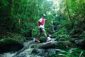 BIB: 
                            <button type="button" onclick="openModal(26780784)" class="btn btn-primary btn-sm float-right btn-popup" data-toggle="modal" data-target=".modal-high-quality">
                        <i class="fas fa-shopping-cart"></i> Add to Cart
                    </button>
                                            <button type="button" onclick="isThisMe(26780784, true)" class="btn btn-success btn-sm float-right btn-popup btn-isme hidden" data-toggle="tooltip" data-placement="bottom" title="นี่คือรูปของคุณใช่ไหม คลิกที่นี่เพื่อเอาเข้าอัลบั้ม">
                        <i class="fas fa-plus"></i> Add to album
                    </button>
                    <button type="button" onclick="isThisMe(26780784, false)" class="btn btn-warning btn-sm float-right btn-popup btn-isnotme hidden">
                        <i class="fas fa-ban"></i> Remove from album
                    </button>