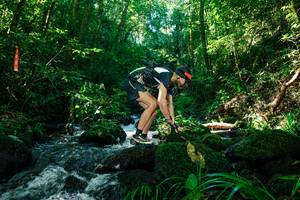 BIB: 
                            <button type="button" onclick="openModal(26695630)" class="btn btn-primary btn-sm float-right btn-popup" data-toggle="modal" data-target=".modal-high-quality">
                        <i class="fas fa-shopping-cart"></i> Add to Cart
                    </button>
                                            <button type="button" onclick="isThisMe(26695630, true)" class="btn btn-success btn-sm float-right btn-popup btn-isme hidden" data-toggle="tooltip" data-placement="bottom" title="นี่คือรูปของคุณใช่ไหม คลิกที่นี่เพื่อเอาเข้าอัลบั้ม">
                        <i class="fas fa-plus"></i> Add to album
                    </button>
                    <button type="button" onclick="isThisMe(26695630, false)" class="btn btn-warning btn-sm float-right btn-popup btn-isnotme hidden">
                        <i class="fas fa-ban"></i> Remove from album
                    </button>